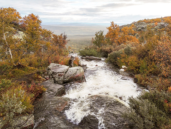 Studenterna övernattade vid Rörsjöarna uppe på Fulufjället. Härifrån rinner också Njupån som fortsätter ner längs fjällets branter. Foto: Oscar Hagbard