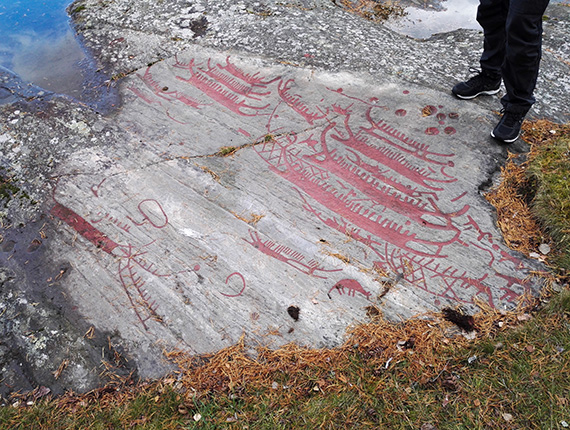 Utanför Enköping i Uppland stannade studenterna för att se på den figurrika hällristningen i Hemstaområdet. Foto: Oscar Hagbard