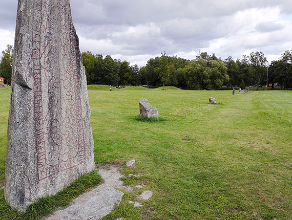 På spaning efter mänskliga spår i landskapet. Runstenen står vid Anundshög utanför Västerås. Foto: Oscar Hagbard