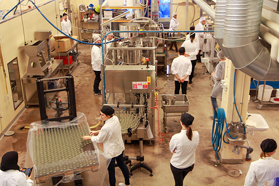 En dag med gastronomistudenter p&aring; Balsg&aring;rds testb&auml;dd f&ouml;r innovativa drycker.