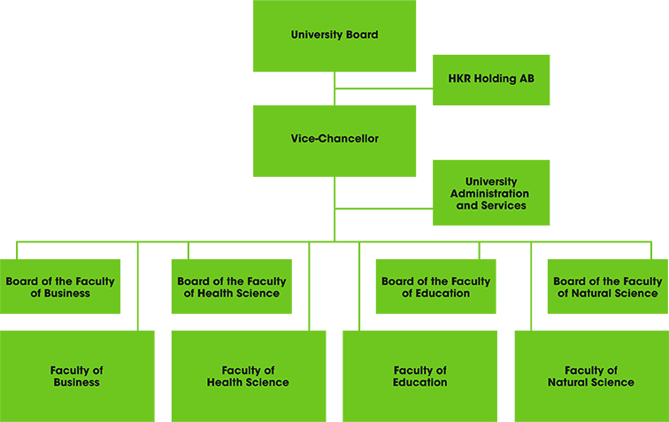 Organisation overview.