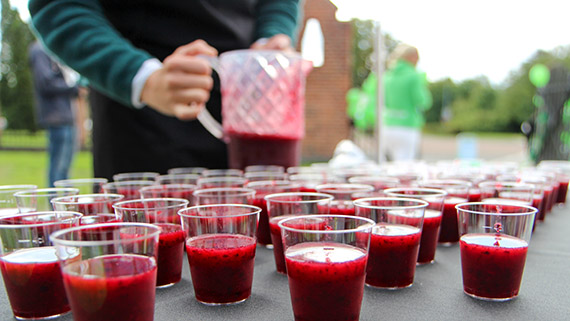 Krinova bj&ouml;d p&aring; &rdquo;brainfood&rdquo; i form av smoothie.