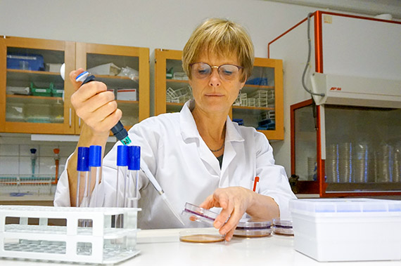 Mikrobiolog Stina-Mina Ehn B&ouml;rjesson p&aring; sin hemmaplan, i labbet l&auml;ngst upp i hus 20 p&aring; H&ouml;gskolan Kristianstad. P&aring; fredag &aring;ker hon dock till G&ouml;teborg f&ouml;r att f&ouml;rsvara sin avhandling om hur bakterier sprids fr&aring;n m&auml;nniska till djur.