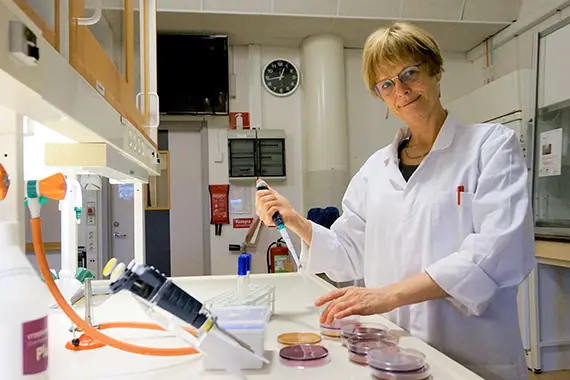Stina-Mina Ehn Börjesson avlägger medicine doktorsexamen vid Sahlgrenska akademin i Göteborg fredagen den 7 februari 2020, klockan 13.00. Avhandlingens titel är Perspectives on urban wastewater as a source of microbial pollution.