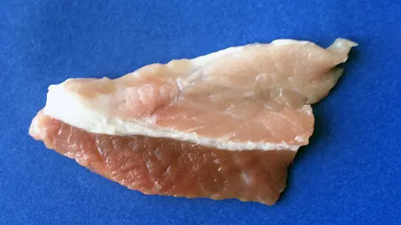 Kött Köttbit