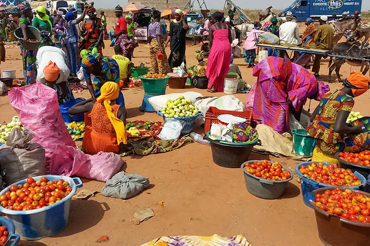 Tomater i solen p&aring; marknad i Gambia.