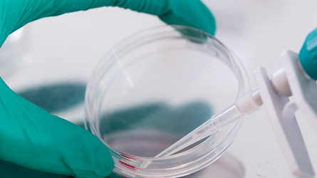 Biomedicinsk analytiker