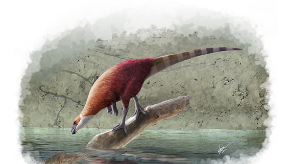 Dinosaurien Parkosaurus som p&aring;minner om de ornithopoder som levde i Kristianstadsomr&aring;det under campan. Illustration: Gabriel Ugueto (f&aring;r endast anv&auml;ndas i samband med presentation av och information om Elisabeths avhandling Palaeoenvironments, palaeoecology and palaeobiogeography of Late Cretaceous (Campanian) faunas from the Kristianstad Basin, southern Sweden, with applications for science education)
