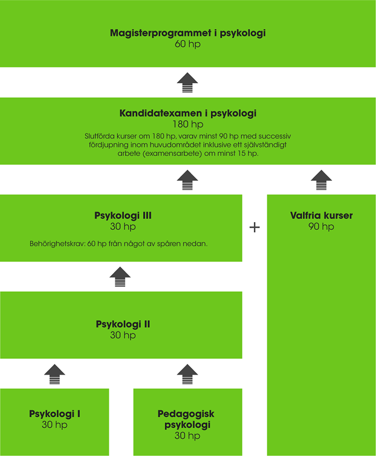 Figur psykologi kurser HKR
