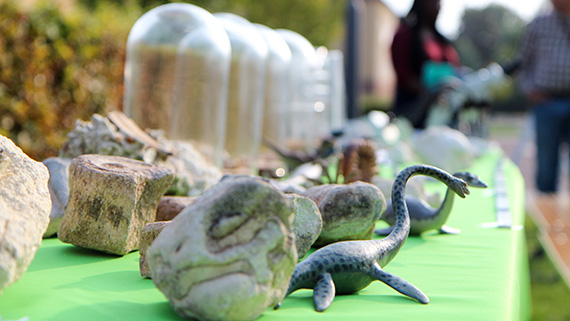 Delar av Tord Engfors fossilutställning fick ett långbord på campus.