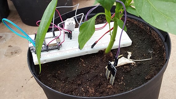 Så här ser studenternas fuktmätare ut.