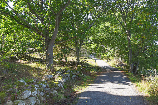 St&auml;rn&ouml;-Bo&ouml;ns naturreservat.