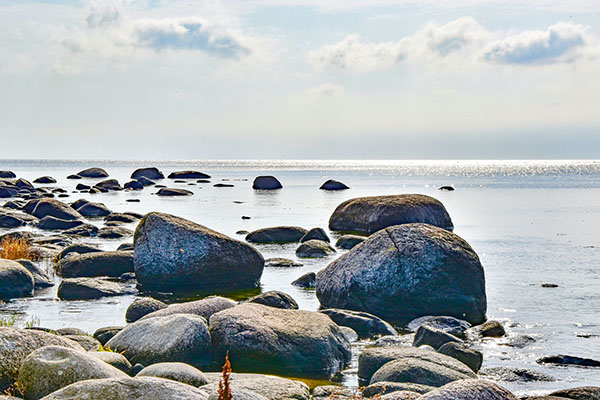 Fridfull utsikt mot horisonten i G&ouml; naturreservat.