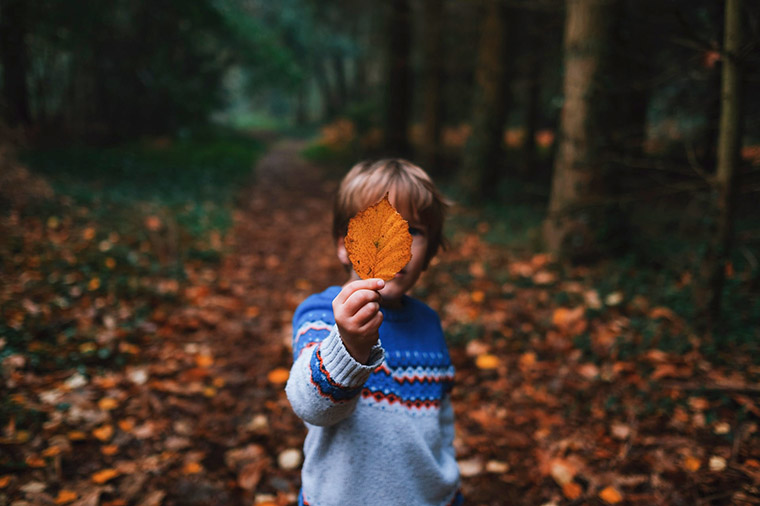 Barn håller höstlöv framför ansiktet. Annie Spratt/Unsplash