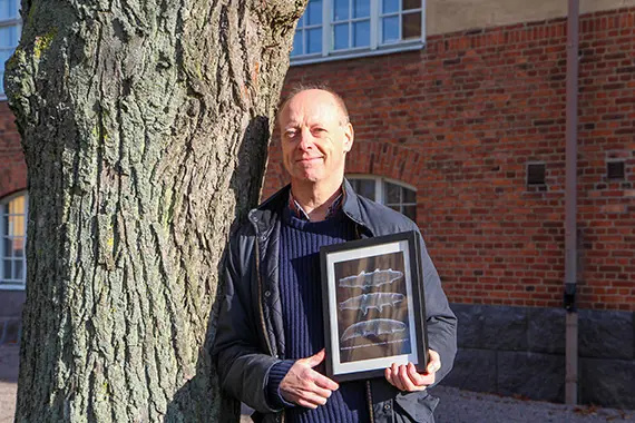 Professor Ingemar J&ouml;nsson med den tavla med foton p&aring; Mesobiotus joenssoni han fick av sina italienska forskarkollegor som namngett den nya arten efter honom.