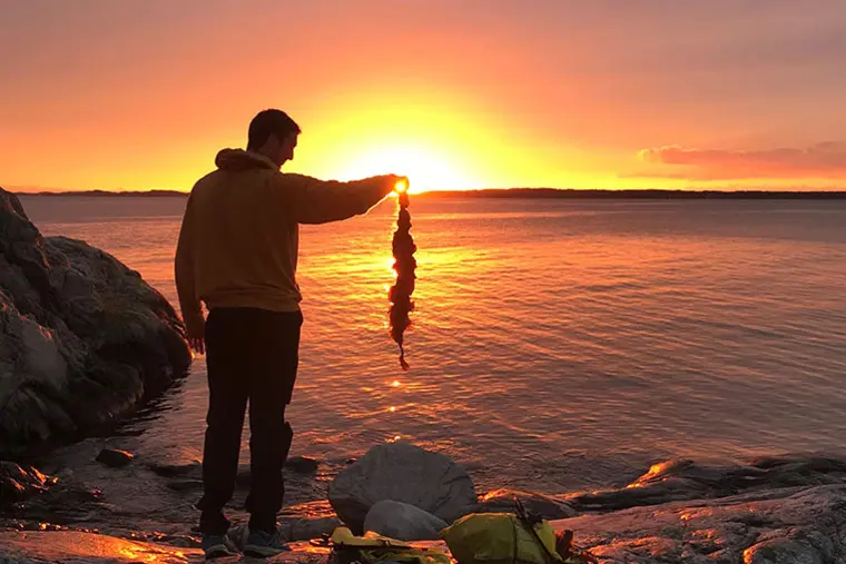 Person h&aring;ller i sockert&aring;ng vid vatten i solnedg&aring;ng.