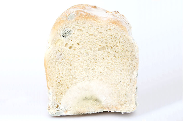 M&ouml;gligt br&ouml;d.