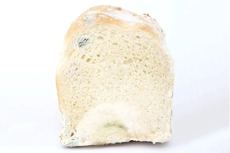 M&ouml;gligt br&ouml;d.