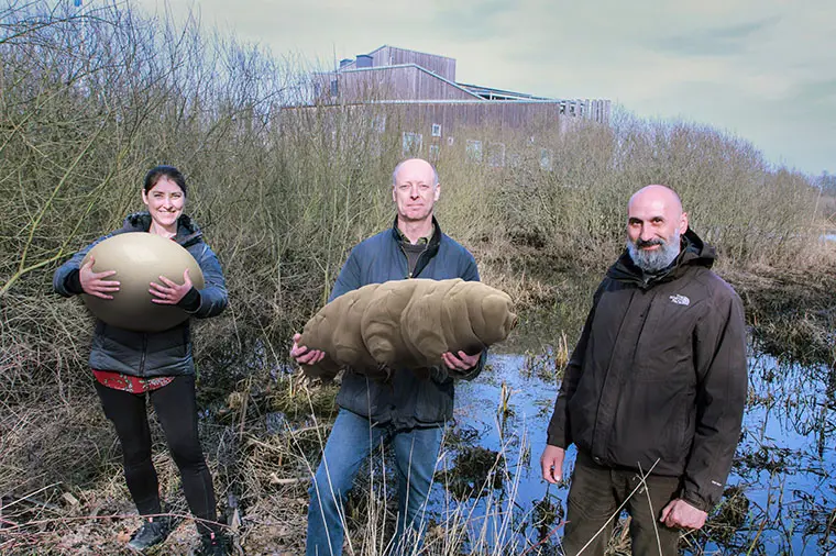 Fr&aring;n v&auml;nster: Sarah Atherton fr&aring;n Naturhistoriska Riksmuseet med ett f&ouml;rmodat bj&ouml;rndjurs&auml;gg, Ingemar J&ouml;nsson fr&aring;n H&ouml;gskolan Kristianstad med j&auml;ttebj&ouml;rndjuret, och Roberto Guidetti fr&aring;n University of Modena & Reggio Emilia. Tillsammans unders&ouml;ker de biosf&auml;romr&aring;det genom forskningsprojektet Sj&ouml;odjur i Vattenriket.