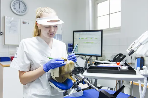 Tandhygieniststudent Tandhygieniststudent