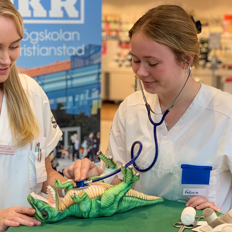 En av de sociala aktiviteter Felicia varit med p&aring; var n&auml;r h&ouml;gskolan hade &rdquo;Nalleakuten&rdquo; i ett k&ouml;pcenter p&aring; internationella nalledagen. Tillsammans med sina kursare pl&aring;strade hon om, vaccinerade, och sydde diverse gosedjur som barn hade med sig. Och hade samtidigt kul med sina v&auml;nner.