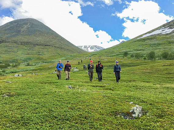 P&aring; v&auml;g ner fr&aring;n Akkas st&ouml;rsta glaci&auml;r, Hambergs glaci&auml;r. Foto: Adelaide Foster