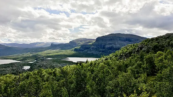 Laponia och Stora Sj&ouml;fallets m&auml;ktiga nationalpark. Foto: Adelaide Foster