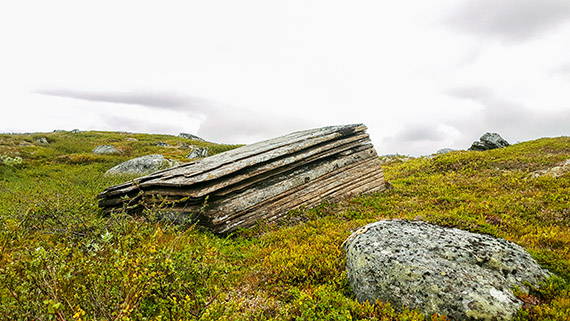 Metamorfa bergarten fyllit, en m&aring;ttligt omvandlad lerskiffer. Fj&auml;llkedjan best&aring;r av flera stora sjok av berggrund och skollor, som skjutits upp p&aring; varandra fr&aring;n v&auml;ster f&ouml;r 500&ndash;400 miljoner &aring;r sedan n&auml;r Europa krockade med Nordamerika. Lerskiffern bildades i havet som fanns mellan kontinenterna innan krocken och sk&ouml;ts sedan upp och omvandlades n&auml;r fj&auml;llkedjan bildades. Foto: Dan Postolachi