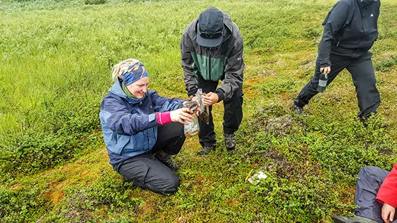 Studenten Jenny Carlsson f&ouml;rel&auml;ser om mossor medan myggen attackerar Troy Vegels hatt. Foto: Dan Postolachi