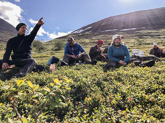 En kort paus bland fj&auml;llodon p&aring; en av Akkas sluttningar. Foto: Johanna Augustsson