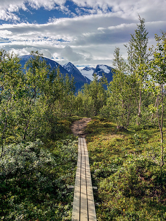 Efter b&aring;tresan fr&aring;n Ritsem b&ouml;rjar vandringen genom fj&auml;llbj&ouml;rkskogen l&auml;ngs Padjelantaleden mot Akkastugorna. I fonden reser sig det &ouml;ver 2 000 h&ouml;ga Akkamassivet med sina glaci&auml;rer. Foto: Johanna Gr&ouml;nroos