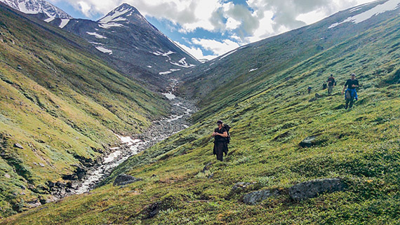 Efter att ha forcerat sig genom t&auml;t fj&auml;llbj&ouml;rkskog v&auml;ntar den mellanalpina vegetationszonen innan kalfj&auml;llet tar &ouml;ver helt p&aring; v&auml;gen mot Hambergs glaci&auml;r. Foto: Johanna Gr&ouml;nroos