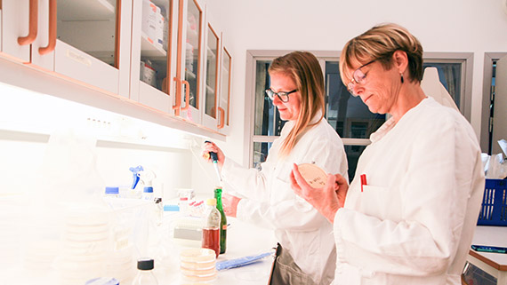 Betty Collin och Stina-Mina Ehn B&ouml;rjesson har som m&aring;l att inte bara humlen utan &auml;ven j&auml;sten, som g&ouml;r grovjobbet, ska specificeras p&aring; framtidens &ouml;letiketter.