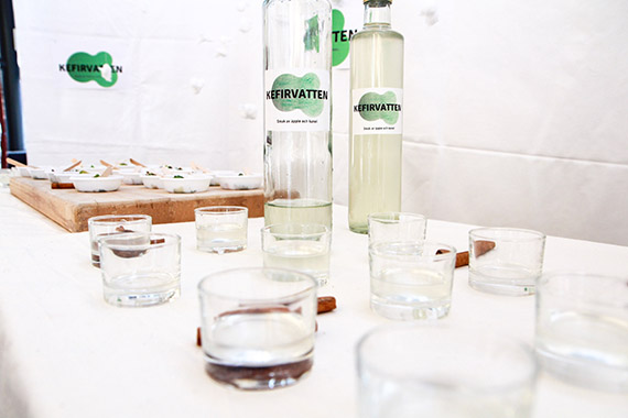 Kefir &auml;r en kultur som l&auml;mpar sig lika v&auml;l f&ouml;r vatten som mj&ouml;lk.
