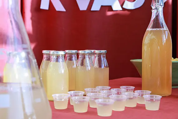 Till kvassen anv&auml;ndes en j&auml;stsvamp som brukar anv&auml;ndas till sur&ouml;l.