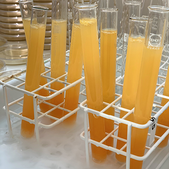 Vasslesoda som en l&auml;skande apelsindryck presenterad i provr&ouml;r f&ouml;r att knyta an till framst&auml;llningsprocessen i det moderna samh&auml;llet.