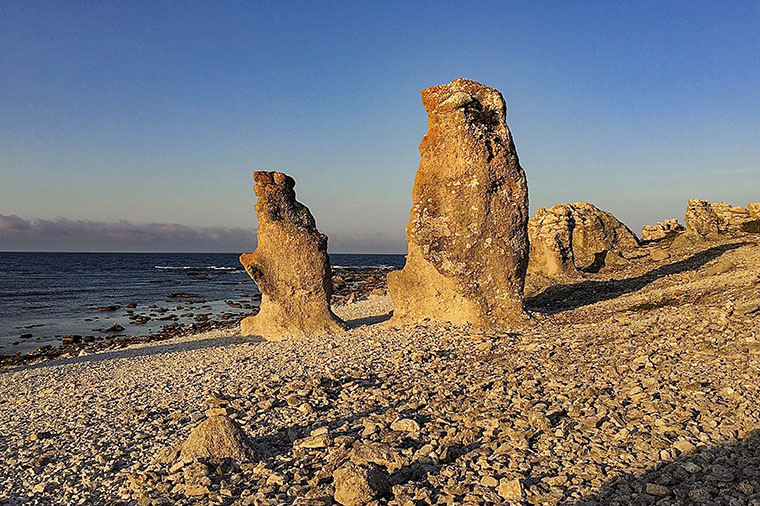 Raukar p&aring; Gotland. Foto: Erland Bj&ouml;rklund