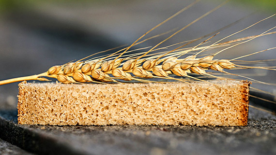 Kulturspannmål på bröd.