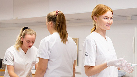 Sjuksköterskeprogrammet.