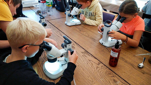 I mikroskop har barnen m&ouml;jlighet att studera de sm&aring; djuren n&auml;rmare, och &auml;ven de mikroplaster som finns i stort sett &ouml;verallt.