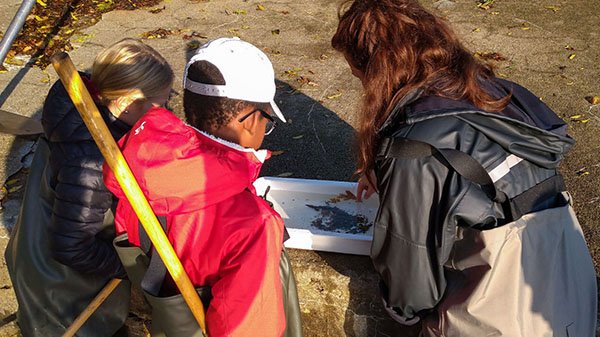 De vita byttorna fylls snabbt med sm&aring; r&auml;kor, m&auml;rlor och annat som lever i hamnbass&auml;ngen.