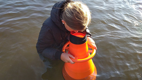 Med vattenkikare g&aring;r det att studera livet p&aring; botten.