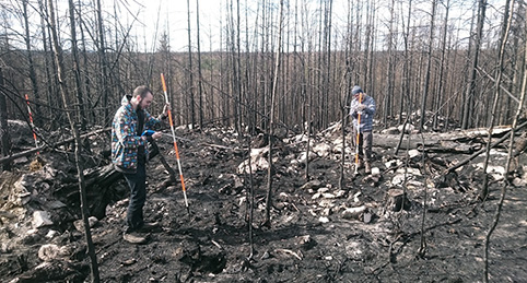 Jakob och Daniel inventerade sammanlagt drygt 6 000 kvadratmeter.