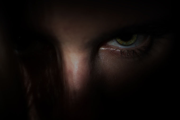 &Ouml;ga i m&ouml;rker.