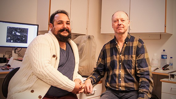 Edoardo Massa och Ingemar J&ouml;nsson har nu en angen&auml;m, men inte helt enkel, uppgift att namnge sina nyfunna bj&ouml;rndjursarter.