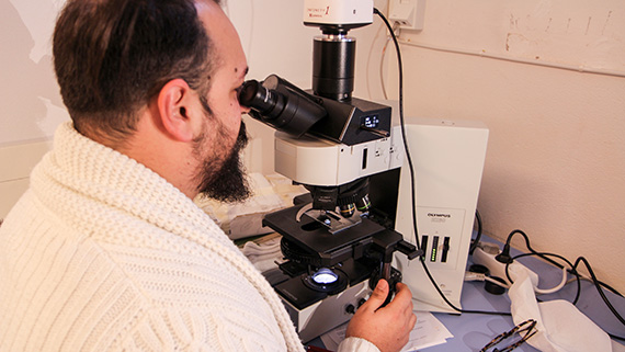 Bj&ouml;rndjurstaxonomen Edoardo Massa tittar p&aring; bj&ouml;rndjuren med tusen g&aring;ngers f&ouml;rstoring.