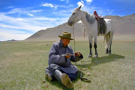 H&auml;stburen herde med pipa, Kovd Aimag, i v&auml;stra Mongoliet.