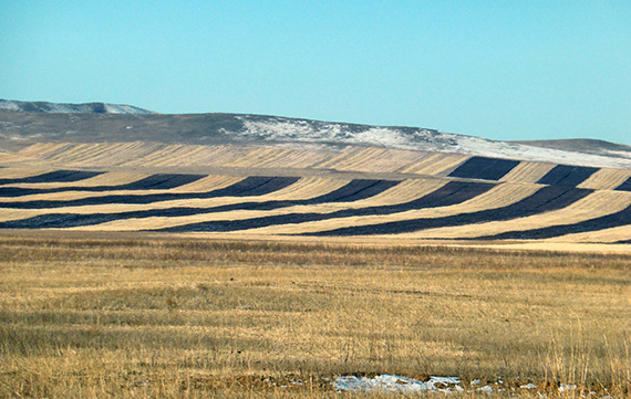 Pl&ouml;jning f&ouml;r att f&ouml;rhindra jorderosion v&auml;ster om Ulaan Baatar i Mongoliet.