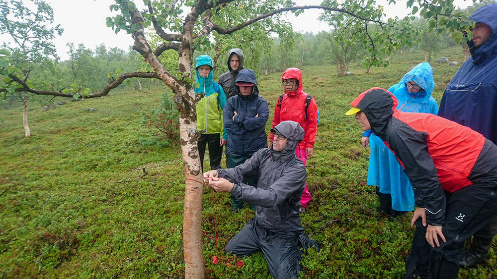 &ldquo;Upp hoppar haren ur h&aring;let, runt det stora tr&auml;det, och ner i h&aring;let igen&rdquo;, f&ouml;rklarar Tom f&ouml;r att demonstrera hur en p&aring;lstek ska knytas. Foto: Fabian Rimfors