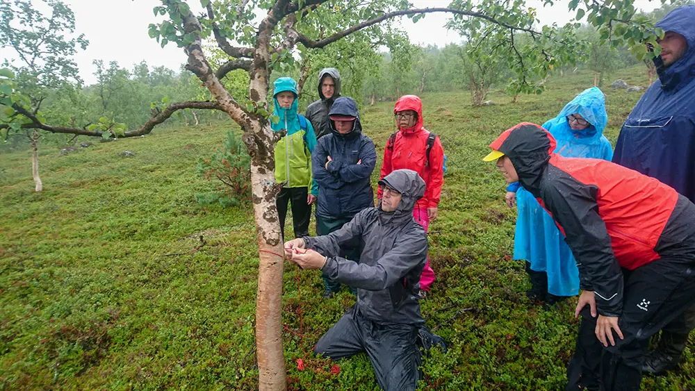 “Upp hoppar haren ur hålet, runt det stora trädet, och ner i hålet igen”, förklarar Tom för att demonstrera hur en pålstek ska knytas. Foto: Fabian Rimfors